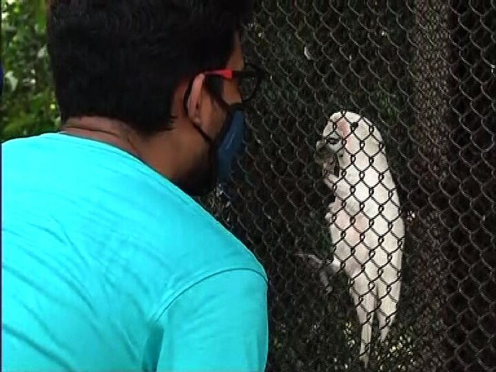 করোনার জেরে ৬ মাসের বেশি সময় ধরে এসবের স্বাদ থেকে বঞ্চিত ছিল বাঙালি। শুক্রবার খুলে গিয়েছে রাজ্যের সমস্ত চিড়য়াখানা, সাফারি পার্ক। ফলে খুশি পর্যটকরা। সবকটি চিড়িয়াখানাতেই ছিল স্বাস্থ্যবিধির কড়াকড়ি। মুখে মাস্ক, স্যানিটাইজার ব্যবহার বাধ্যতামূলক। 