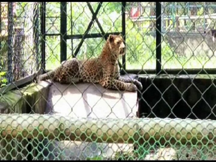 দর্শকদের জন্য খুলে গিয়েছে ঝাড়গ্রামের জুলজিক্যাল পার্ক। জঙ্গলমহলে ঘুরতে আসা পর্যটকদের কাছে এই ডিয়ার পার্ক খুবই জনপ্রিয়।