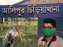 'সারাদিন অনলাইনে পড়াশোনা, বাবাকে বললাম আজই নিয়ে চলো', বলল প্রথম দিনেই আলিপুর চিড়িয়াখানায় আসা খুদে দর্শক