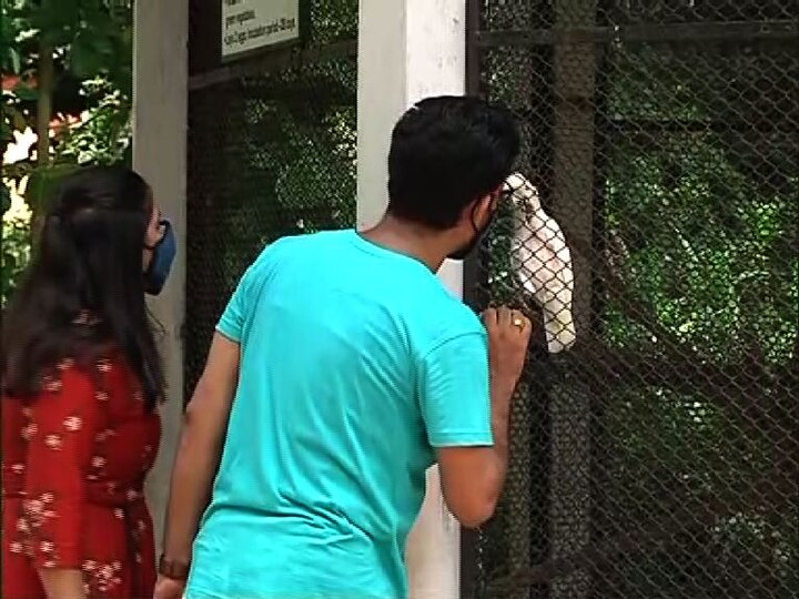 করোনা পরিস্থিতিতে চিড়িয়াখানার বাইরে টিকিট কাউন্টার থেকে কাটা যাচ্ছে না টিকিট। অনলাইনেই টিকিট কাটতে হচ্ছে পর্যটকদের। অন্যদিকে, এদিনই খুলেছে কলকাতার বনবিতান।