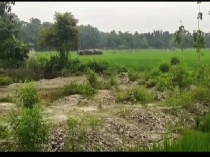 ঘুম উড়েছে বাসিন্দাদের। 