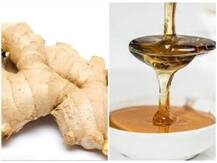 চারটি প্রধান প্রাকৃতিক অ্যান্টিবায়োটিক সম্পর্কে জানুন, কী ভাবে রোগ প্রতিষেধক হিসেবে কাজ করে