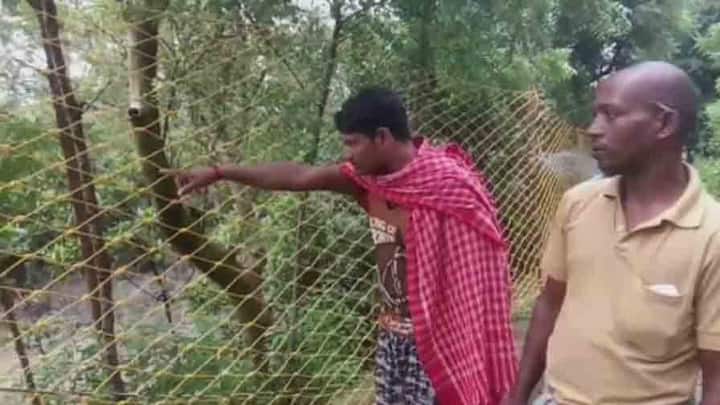 পাতা হয় খাঁচা। এলাকাটি জাল দিয়ে ঘেরা ফেলা হয়। নেওয়া হয় ঘুমপাড়ানি গুলি ছোড়ার প্রস্তুতি। নদীতে নামানো হয় বন দফতরের পেট্রোলিং টিমকে। 