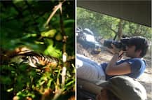 'আই স্পাই', রনথম্বোরে তোলা বাঘের নজরকাড়া ছবি শেয়ার প্রিয়ঙ্কা গাঁধীর ছেলে রেহানের, নজর কাড়ল সোশ্যাল মিডিয়ায়