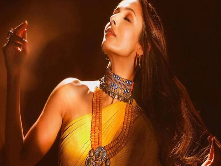 Malaika arora did a tremendous dance on the song chad gaya papi bichua with Terence the video went viral করোনা সারিয়ে সেটে ফিরে টেরেন্সের সঙ্গে 'চড় গয়া পাপি বিছুয়া' গানে জমিয়ে ডান্স মালাইকার, ভিডিও ভাইরাল