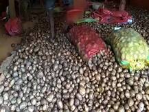 পুজোর আগে স্বস্তি ফিরিয়ে কমছে আলুর দাম