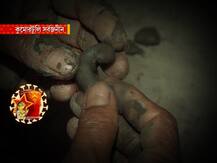 শারদ আনন্দ ২০২০: কুমোরটুলি সর্বজনীনের পুজো মণ্ডপে এবার উঠে আসবে শৈশবের বিভিন্ন ছবি