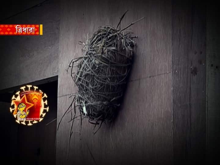 ত্রিধারায় এবার বন্ধ সিঁদুর খেলা, খাওয়ার আয়োজন।