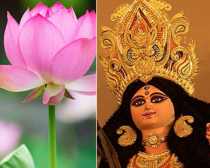 পদ্ম: দেবীর হাতে ব্রহ্মা তুলে দেন পদ্ম৷ পাঁকে জন্মায় পদ্ম। কিন্তু তা কলঙ্কহীন। দেবীর আশীর্বাদে অন্ধকার কেটে আলের সঞ্চার হয়। সেই আলোর বার্তাবহ পদ্ম। 