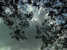 Weather Update: ਸਵੇਰ-ਸ਼ਾਮ ਠੰਡ ਦਾ ਕਹਿਰ ਜਾਰੀ, ਏਅਰ ਕਵਾਲਿਟੀ ਦੇ 'ਬਹੁਤ ਖਰਾਬ ਸ਼੍ਰੇਣੀ' 'ਤੇ ਹੋਣ ਦੀ ਸੰਭਾਵਨਾ 