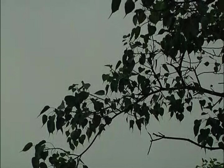 Kolkata: Weather Update: Rain Forecast During Puja সকাল থেকেই অবিরাম বৃষ্টি, আরও বড় দুর্যোগের সম্ভাবনা!