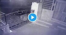 শিকারের পিছু ধাওয়া করে পেল্লায় লাফ চিতাবাঘের, ভিডিও ভাইরাল সোশ্যাল মিডিয়ায়