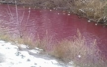 রাশিয়ায় আচমকা নদীর জলের রং বদলে লাল! ঘেঁষছে না হাঁসেরাও,তাজ্জব স্থানীয়রা, ছবি-ভিডিও ভাইরাল সোশ্যাল মিডিয়ায়