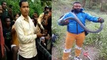 জলপাইগুড়ির নাগরাকাটায় উদ্ধার ১৩ ফুটের কিং কোবরা, কার্সিয়ঙে উদ্ধার ১০ ফুটের আরেকটি