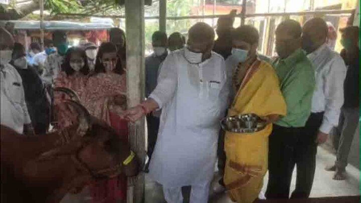 TMC leader celevrates Gopashtami, BJP taunts এবার ঘটা করে গরুপুজো তৃণমূলের, বিজেপির কটাক্ষ