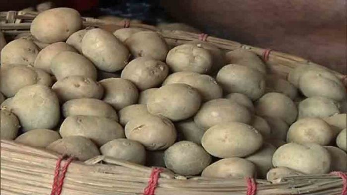 Potato-Onions Price hike effecting middle class people in Bengal Price Hike of daily Essentials: আলু ৫০, পেঁয়াজ ৭০, নিত্যপণ্যের দামবৃদ্ধিতে নাভিশ্বাস মধ্যবিত্তের, আপাতত নেই স্বস্তির কোনও খোঁজও