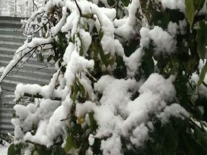 মরসুমের প্রথম তুষারপাতের স্বাদ পেল কাশ্মীরের সতমল।