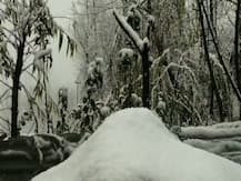 ছবিতে দেখুন: বছরের প্রথম তুষারপাতের স্বাদ পেল কাশ্মীরের সমতল, বরফের চাদরে ঢাকল উপত্যকা...