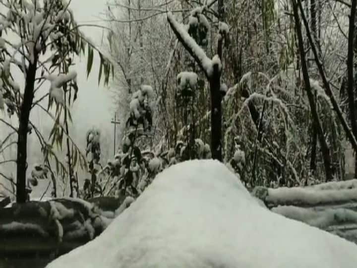 কাশ্মীরের বেশিরভাগ সমতল এলাকা ঢাকল সাদা বরফের চাদরে।