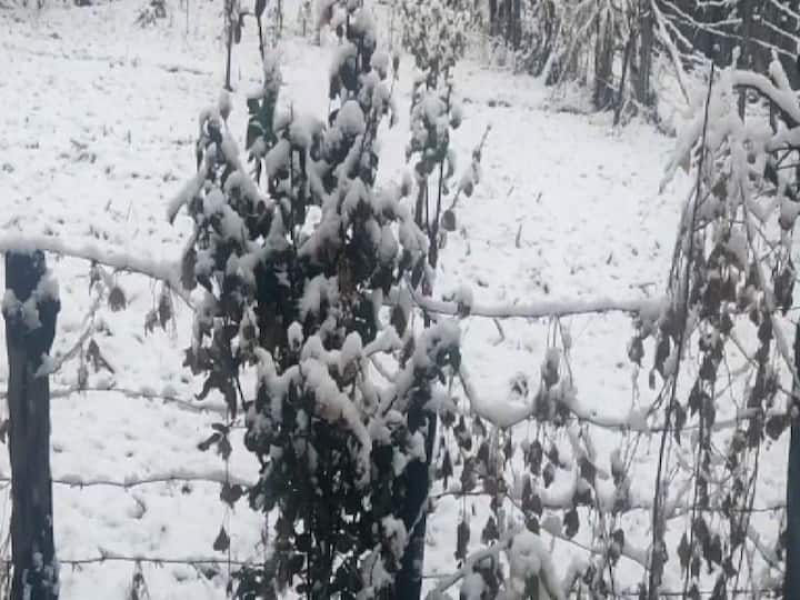 বরফের চাদরে ঢাকা গুলমার্গ, সোনমার্গ, রামবন-বানিহাল, সোপিয়ান, পুঞ্চ, রাজৌরি।