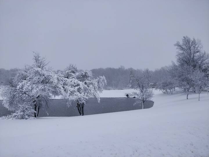 কিন্তু আমেরিকার ওহায়োতে এখন হাড়হিম করা ঠান্ডা।  