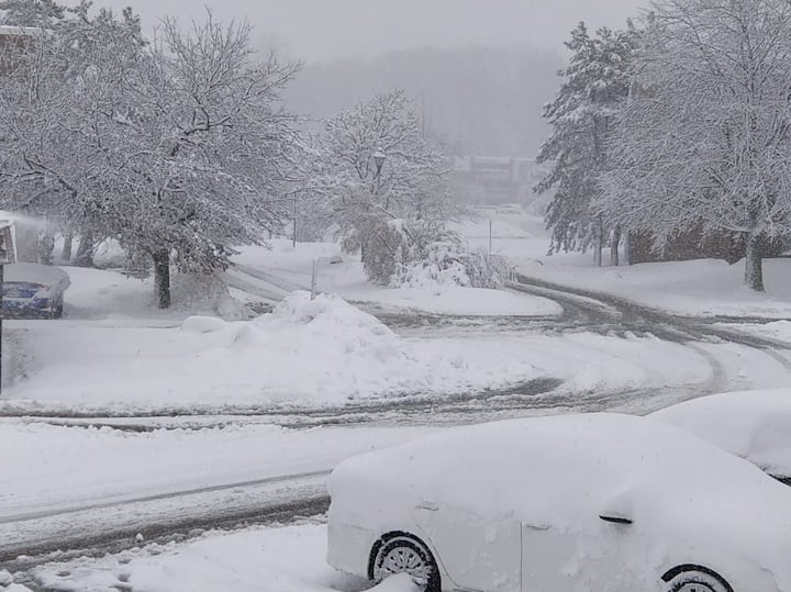 মিনেসোটায় বহু মানুষ অন্যত্র সরে গিয়েছেন। 