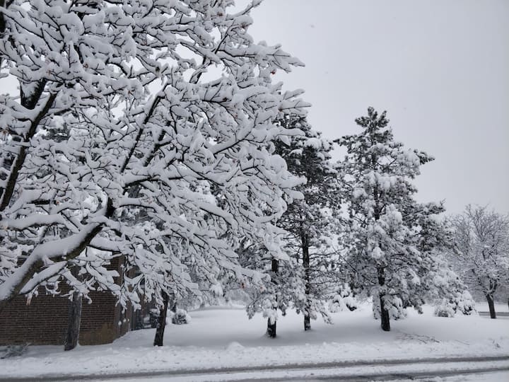 ম্যাডিসনে গত ৪০ বছরে এত শীত পড়েনি। বাসিন্দারা বের হতে পারছেন না। 