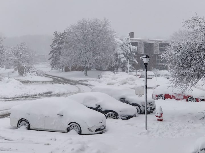 বরফের চাদর, থুরি কম্বলে ঢাকা পড়েছে গাড়িগুলি। 
