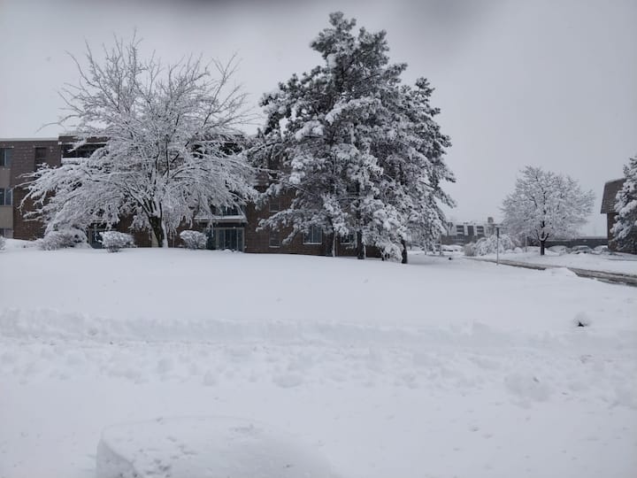 কোভিড-১৯ এর ফলে মানুষ আগে থেকেই ওয়ার্ক ফ্রম হোম করছিলেন। 