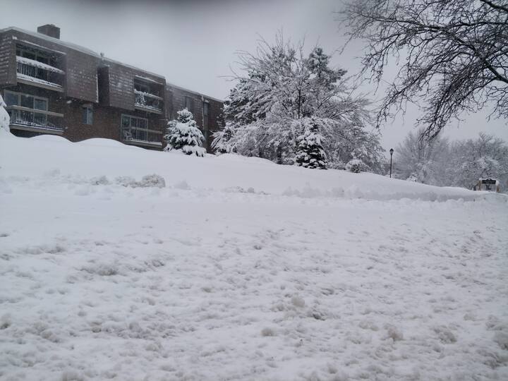 রাস্তাঘাট-ঘরবাড়ি ঢেকেছে পুরু বরফের আস্তরনে।