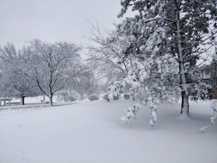 এমনকী কোথাও কোথাও মাইনাস ২৫ থেকে মাইনাস ৩০ ডিগ্রি সেলসিয়াসেও পৌঁছে গিয়েছে তাপমাত্রা। 