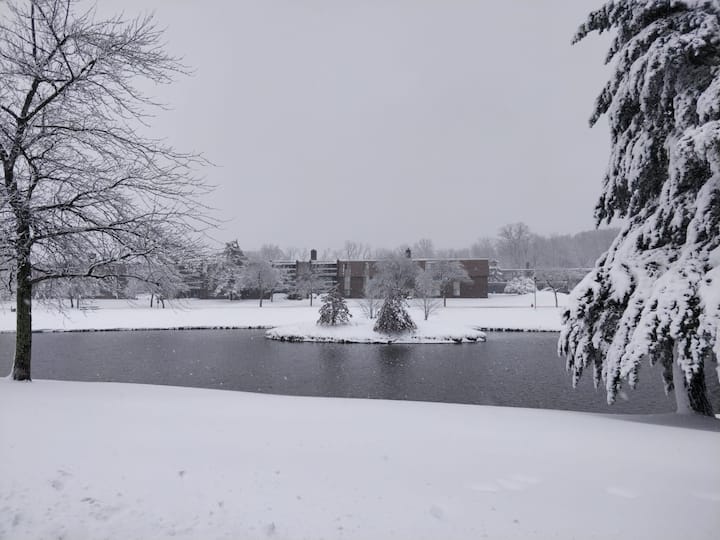 নায়াগ্রা, ওরলেন্স কাউন্টি, বাফেলো-- সর্বত্র এরকই তাপমাত্রা। 