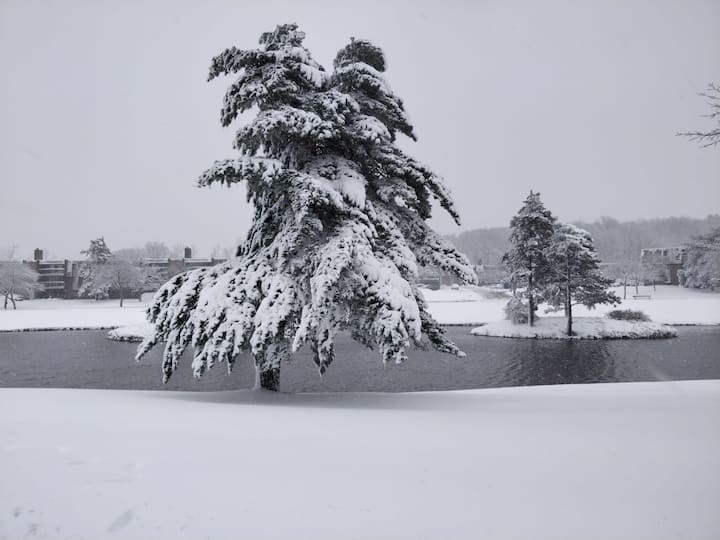 মার্কিন মুলুকে মরসুমের প্রথম তুষারপাত। 