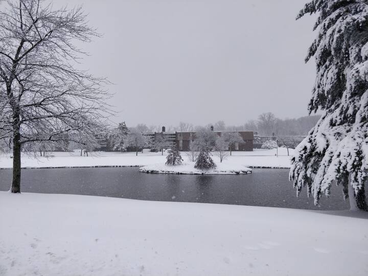 বন্ধ করে দেওয়া হয়েছে বহু স্কুল। 