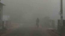 Weather Update: দেখা মেলেনি সূর্যের, ঘন কুয়াশার চাদরে মোড়া সকাল দেখল রাজ্য