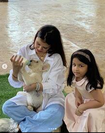 সিংহের খাঁচায় জীভা আর সাক্ষী ধোনি, খাবার দেখে বিশাল হাঁ করে এগিয়ে এল...