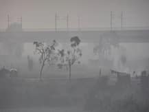 দিল্লিতে মরসুমের শীতলতম দিন, তাপমাত্রা নামল ৪.১ ডিগ্রি সেলসিয়াসে, পশ্চিমবঙ্গেও জাঁকিয়ে শীত পড়ার সম্ভাবনা