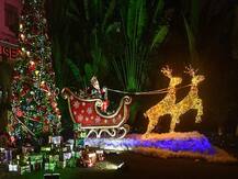 করোনা আবহে বড়দিন পালনে কী ব্যবস্থা নিল রাজ্যগুলি ? দেখুন ছবিতে