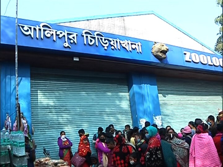 বড়দিনের সকালে আলিপুর চিড়িয়াখানায় পরিচিত ভিড়ের ছবিটা উধাও। 