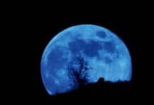 শাড়ি-গয়না নয়, বিবাহবার্ষিকীতে চাঁদে ৩ একর জমি গিফট স্বামীর, মুগ্ধ স্ত্রী