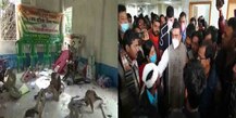 ‘পুলিশ এখন ক্রীতদাস’, জখম কর্মীদের হাসপাতালে দেখতে এসে বললেন শুভেন্দু; তৃণমূল পার্টি অফিসে হামলা, উত্তেজনা নন্দীগ্রামে