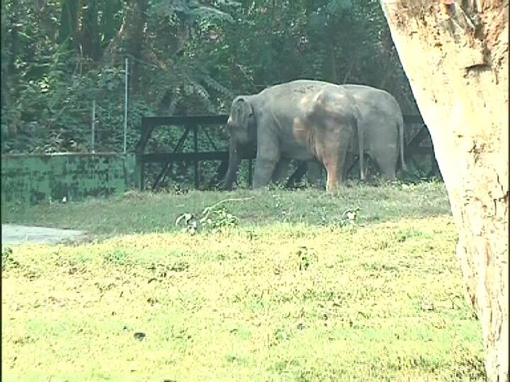 তবে উত্সাহের ঘাটতি নেই ওদের।
