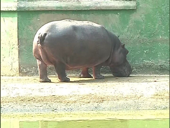আর ওদের মন ভরিয়ে দিয়েছে চিড়িয়াখানার সদস্যরা।
