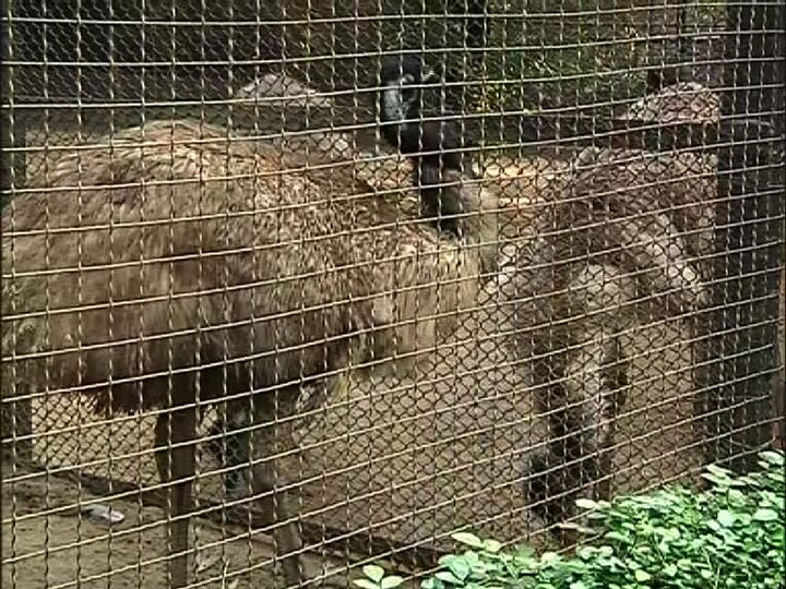 সকলেই যার যার নিজের খেয়ালে, মুডে রয়েছে।