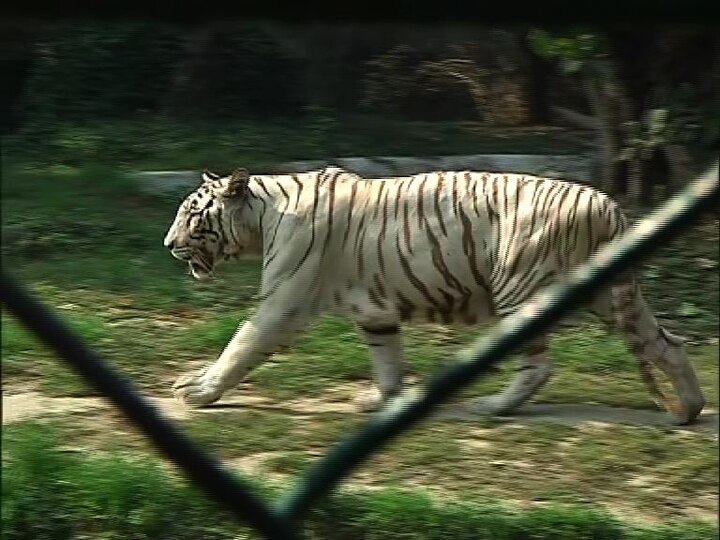 অন্যবারের তুলনায় করোনা আবহে ভিড় যদিও একটু কম।