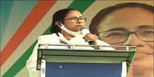 West Bengal Election 2021:'ইডি-সিবিআইয়ের ভয়ে দলত্যাগ কয়েকজনের, কালো হয়ে বিজেপিতে গেলে সাদা'! কটাক্ষ মমতার