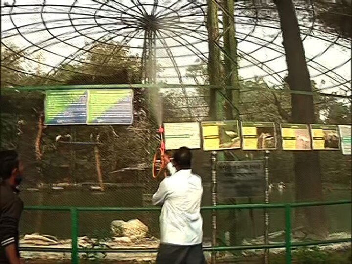 দিল্লিতে গত কয়েকদিনে বহু কাকের মৃত্যুতে আতঙ্ক ছড়িয়েছে।