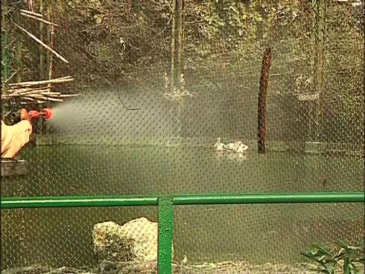কেরল ও হরিয়ানা, দুই জেলাতেই শুরু হয়েছে মুরগি ও পক্ষীনিধন।