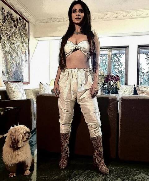 উল্লেখ্য, তনিশাকে বিগ বস-এও দেখা গিয়েছে। কিন্তু তাঁর গেমও দর্শকদের নজর কাড়তে পারেনি। 