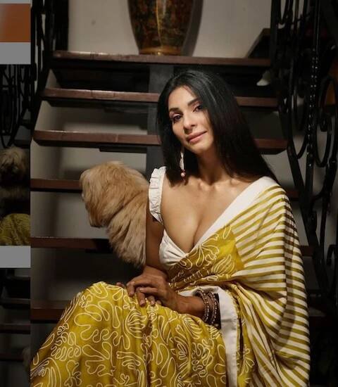 সোশ্যাল মিডিয়ায় তিনি খুবই সক্রিয়। তাঁর সোশ্যাল মিডিয়া অ্যাকাউন্টে এমনই সব আকর্ষণীয় ছবি রয়েছে। ভারতীয় বা পশ্চিমী, যে কোনও পোশাকেই সাবলীল তনিশা। 